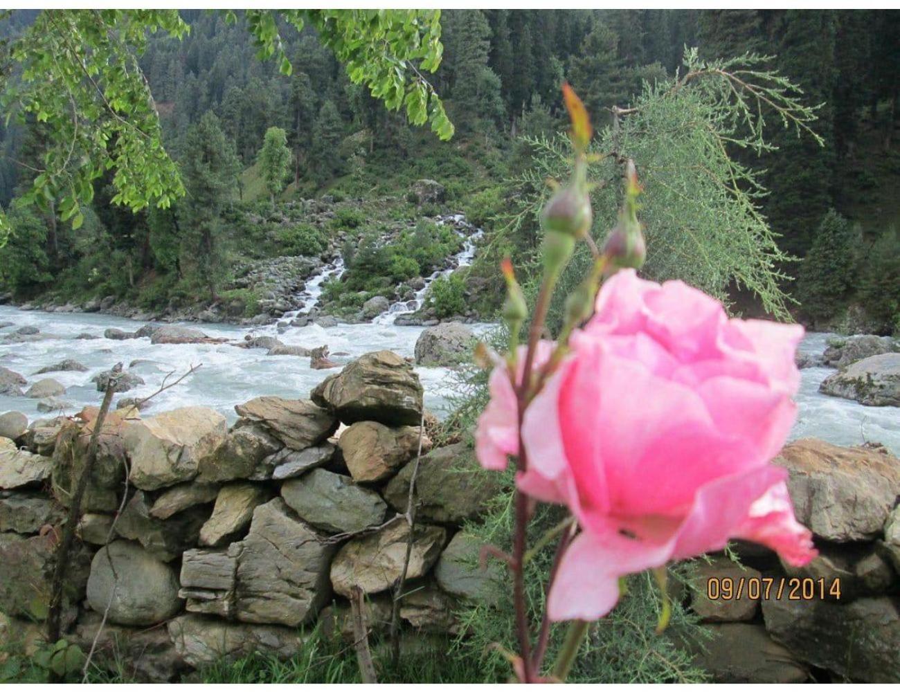 River Front Guest House Aru Pahalgam Anantnag Exterior photo